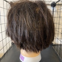 mj39カットウィッグの画像