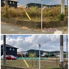 草刈り、草取り