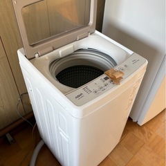 【2024年製】全自動電気洗濯機　5kgの画像