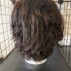 カットウィッグの画像