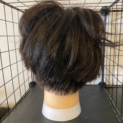 カットウィッグの画像