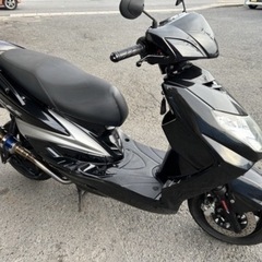 シグナスの画像