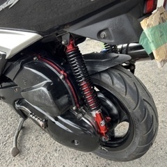 シグナスの画像