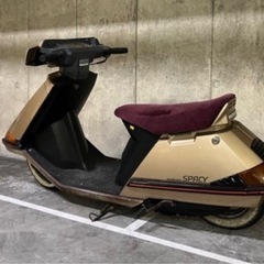 スペイシー50の画像