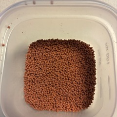 ベタのエサ🐟の画像