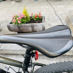 『ＳＡＬＥ　３０％』　ＧＩＡＮＴ　ＴＡＩＬＯＮ　2x9変速　フレーム　アルミ　緑　配達可能の画像