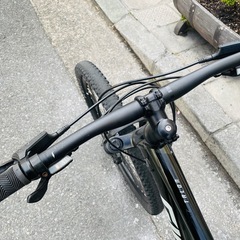 『ＳＡＬＥ　３０％』　ＧＩＡＮＴ　ＴＡＩＬＯＮ　2x9変速　フレーム　アルミ　緑　配達可能の画像