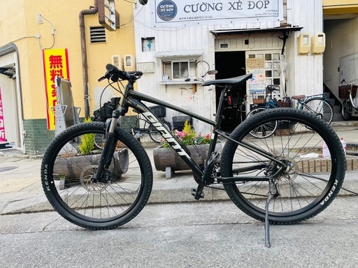 『ＳＡＬＥ　３０％』　ＧＩＡＮＴ　ＴＡＩＬＯＮ　2x9変速　フレーム　アルミ　緑　配達可能