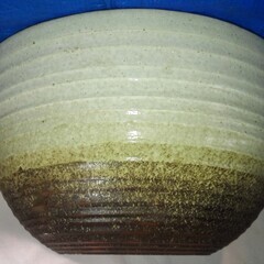 睡蓮鉢　めだかや金魚にもの画像