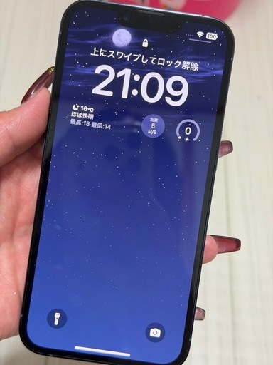 iPhone13Pro     256GB(購入予定有りキャンセル待ちになります)