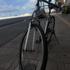 リベロ FIT レーシングマウンテンバイクLIBERO FIT Racing mountain Bikeの画像