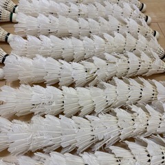 バドミントン中古シャトル260球の画像