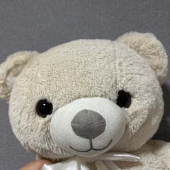 クマのぬいぐるみの画像