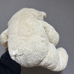 クマのぬいぐるみの画像