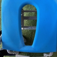 シャワーキャリーの画像