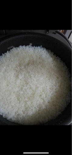 令和7年産　新米コシヒカリ（玄米）30㎏+果物