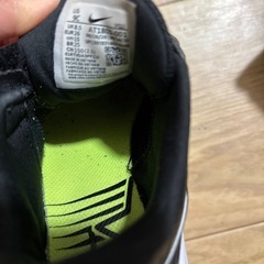 NIKE スターランナー15センチの画像