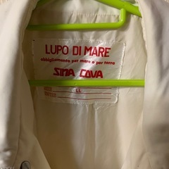 シナコバブルゾンの画像