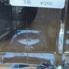 鱗緑メダカ　　メダカ販売の画像