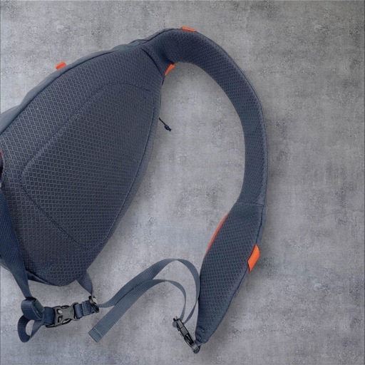 レアカラー Patagonia Atom 8L パタゴニア アトムスリングバッグ