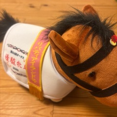 第84回オークス 優駿北馬の画像