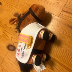 第84回オークス 優駿北馬の画像