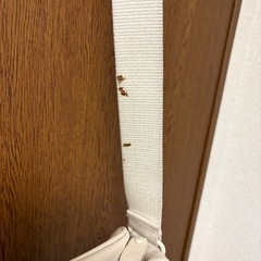 ショルダーバッグ(ラコステ)の画像