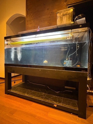 【受取者決定】150水槽 150×60×60   フルセットオンライン決済可