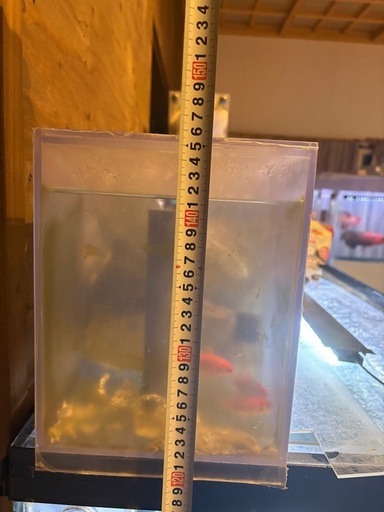 【受取者決定】150水槽 150×60×60   フルセットオンライン決済可 