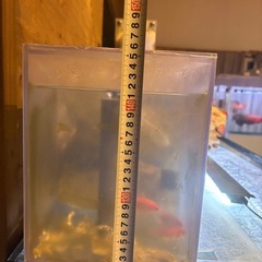 【受取者決定】150水槽 150×60×60   フルセットオンライン決済可 の画像