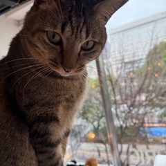 寂しいです、、