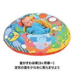 ボーネルンド　ベビープレイネストの画像