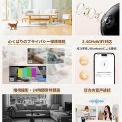 見守りカメラ　１日使用品の画像