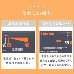 【半額】1.5畳ホットカーペット／美品の画像