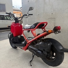 まだあります‼️ズーマー　50 実働セル1発　動画有り！  の画像