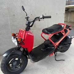 まだあります‼️ズーマー　50 実働セル1発　動画有り！  の画像