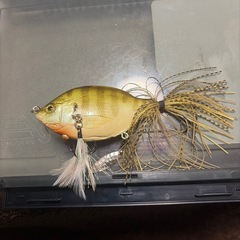 ジョイクロ、リトルゾーイ
の画像