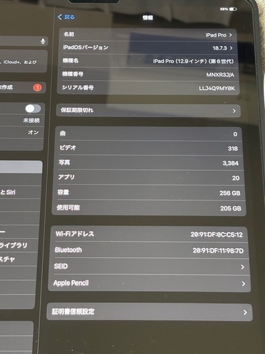 【本日まで】iPad Pro 12.9インチ 第6世代 256GB アップルペンシル付