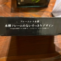 ブラックビーシュリンプ レッドビーシュリンプ ブルーパールシュリンプ 水槽 小型の画像