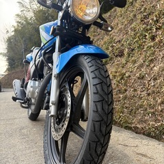 HONDA!CBF125の画像