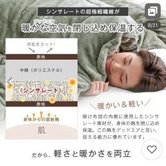 ほぼ新品♪ easywarm　掛け布団 　ライトベージュ　シングル シンサレート 洗える 暖かい 掛ふとん 掛布団 布団 冬用 軽い  の画像