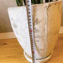 鉢植え【植物はつきません】の画像