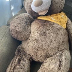 くまのぬいぐるみの画像