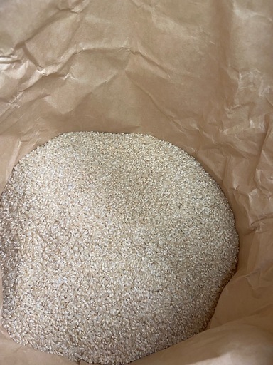 令和7年度　農家直売コシヒカリ玄米30kg