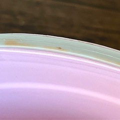 浴室用スツール
の画像