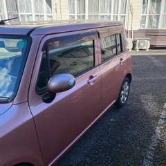 アルトラパンの画像