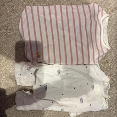 ペットのおもちゃやグッツ色々の画像