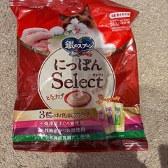 ペットのおもちゃやグッツ色々の画像