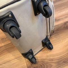 ソフトキャリーケースの画像