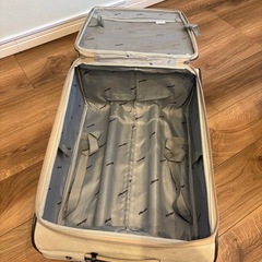 ソフトキャリーケースの画像